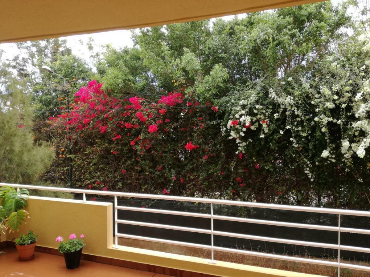 Refugio Madeira Διαμέρισμα Caniço Εξωτερικό φωτογραφία